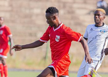 Semassi Etoile filante