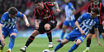 Brighton – Bournemouth